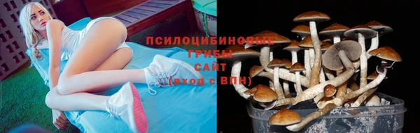 меф Коряжма