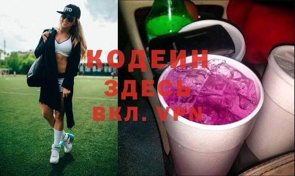 мдпв Кодинск