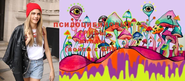 каннабис Корсаков