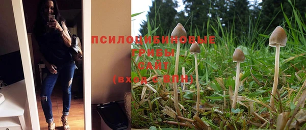 каннабис Корсаков
