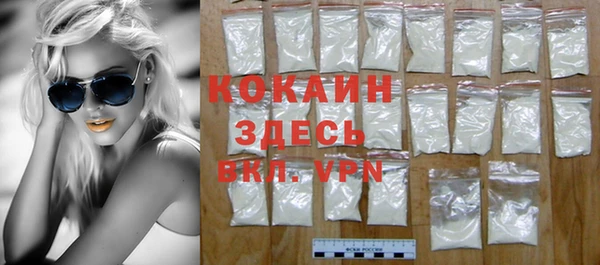 мдпв Кодинск