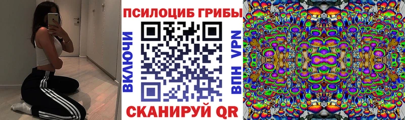 гидра как зайти  Красновишерск  Галлюциногенные грибы Psilocybe 